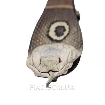 Мужской ремень из кожи кобры с головой змеи (105 CBB H Natural)